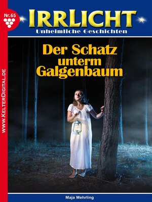 cover image of Irrlicht 65 – Mystikroman